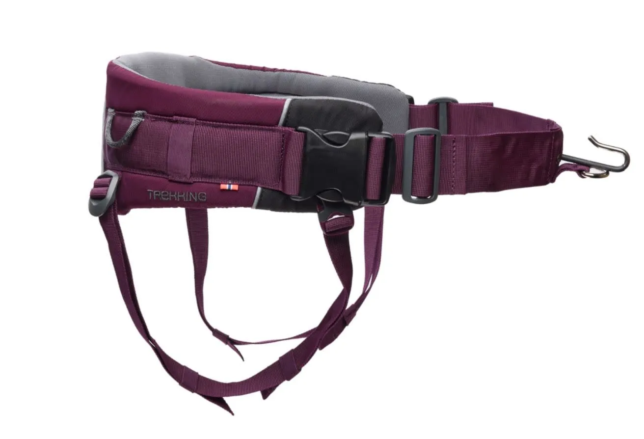 Non-stop Dogwear Trekking Belt 2.0 Size L Purple | Buy Non-stop Dogwear Trekking Belt 2.0 Size L Purple here | Outnorth