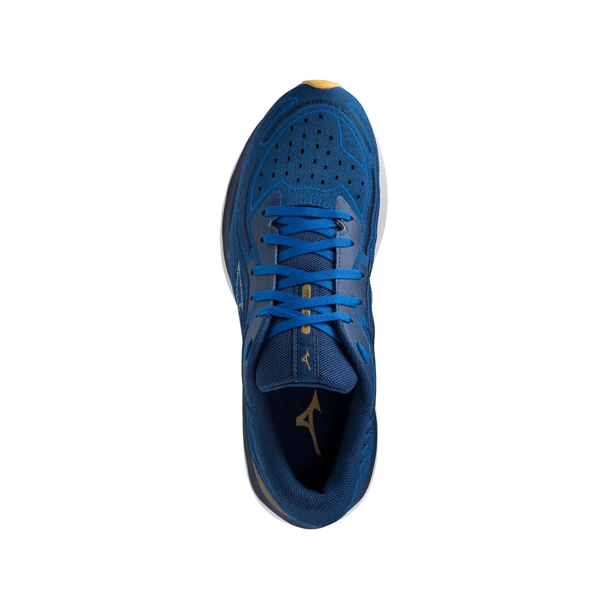 Shoes Mizuno Wave Skyrise 4 Blue Gold